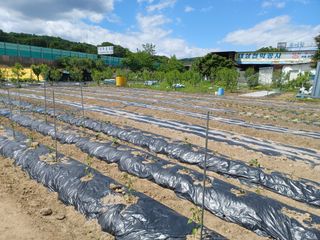 fineart82님의 묘목 추천해요 · 참여글 작성글 사진