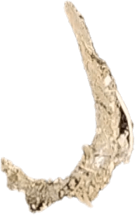 박종권님의 자유주제 · 자유게시판 작성글 사진