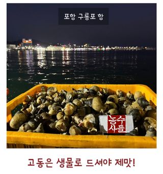 농수사님의 작성글 사진