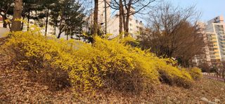 베리첼님의 자유주제 · 자유게시판 작성글 사진