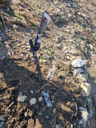 김용대님의 자유주제 · 자유게시판 작성글 사진