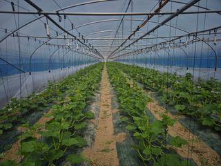 이일균님의 자유주제 · 자유게시판 작성글 사진