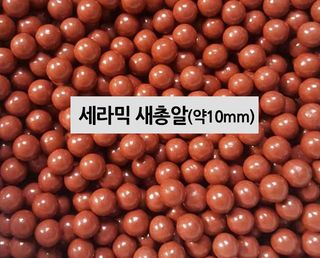 다이쏘(권자영)님의 작성글 사진