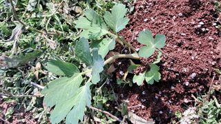 이정운님의 자유주제 · 자유게시판 작성글 사진