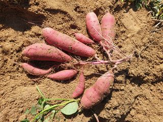 최상범님의 작성글 사진