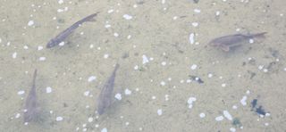 베리첼님의 자유주제 · 자유게시판 작성글 사진