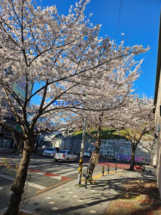 지식농부님의 자유주제 · 자유게시판 작성글 사진