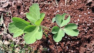 이정운님의 자유주제 · 자유게시판 작성글 사진