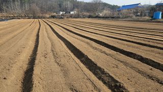 조병대님의 자유주제 · 자유게시판 작성글 사진