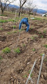 팜모닝 자유주제·자유게시판 게시글 이미지