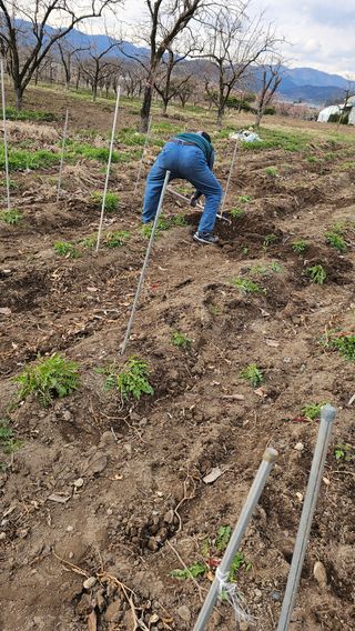 배성은365님의 자유주제 · 자유게시판 작성글 사진