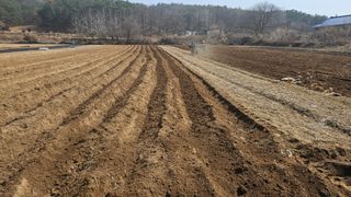 조병대님의 자유주제 · 자유게시판 작성글 사진