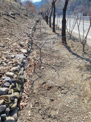 김용대님의 자유주제 · 자유게시판 작성글 사진