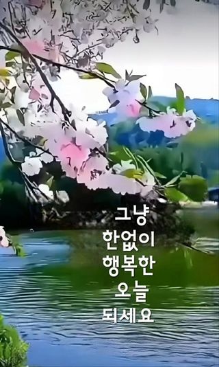 SOUL님의 자유주제 · 자유게시판 작성글 사진