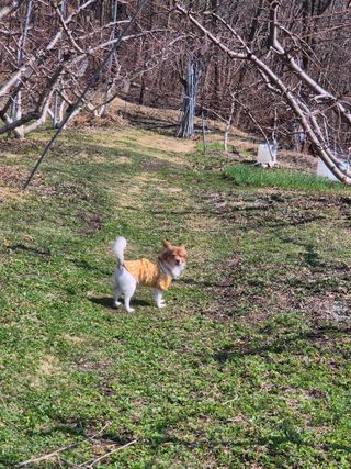 이상윤님의 묘목 추천해요 · 참여글 작성글 사진