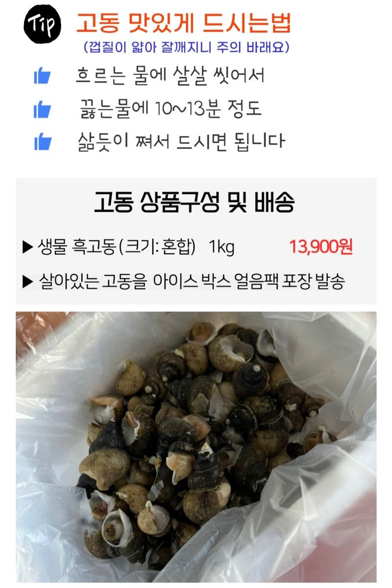 농수사님의 장터 판매 상품 [구룡포 자연산 살아있는 흑고동 백고동 1kg] 첨부 사진