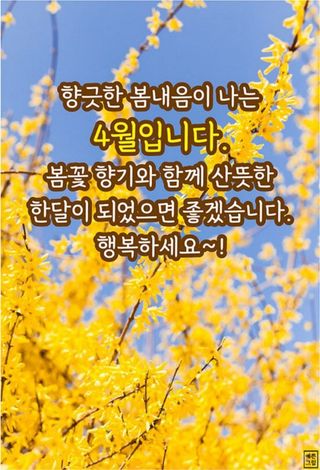 테리우스님의 자유주제 · 자유게시판 작성글 사진