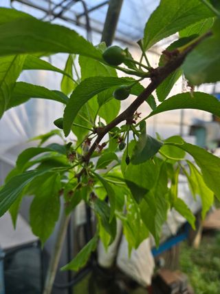 두릅나무9110님의 자유주제 · 사진전 작성글 사진