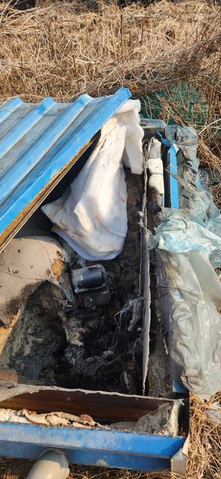 베리첼님의 자유주제 · 자유게시판 작성글 사진