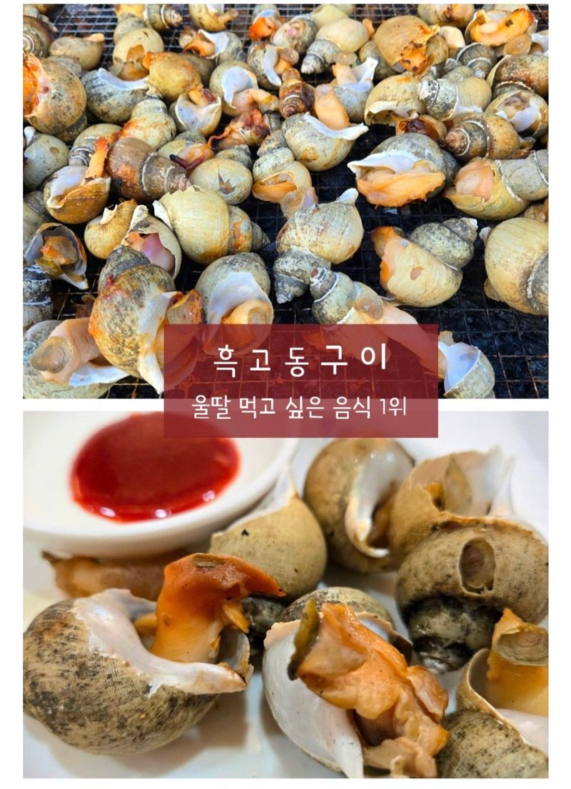 농수사님의 장터 판매 상품 [구룡포 자연산 살아있는 흑고동 백고동 1kg] 첨부 사진