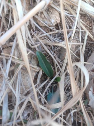 무료지식나눔 팜닥터님의 자유주제 · 자유게시판 작성글 사진