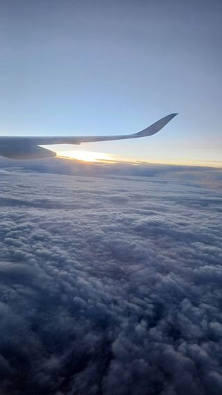 산골촌부님의 자유주제 · 자유게시판 작성글 사진