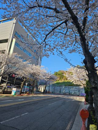 지식농부님의 자유주제 · 자유게시판 작성글 사진