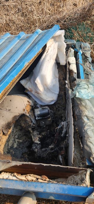 베리첼님의 자유주제 · 자유게시판 작성글 사진