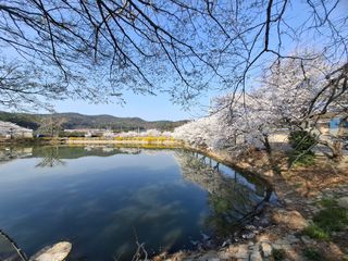 갑산 아리랑님의 자유주제 · 사진전 작성글 사진