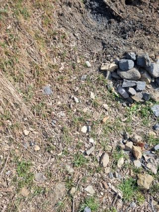 김용대님의 자유주제 · 자유게시판 작성글 사진