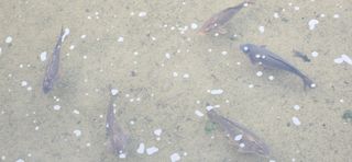 베리첼님의 자유주제 · 자유게시판 작성글 사진