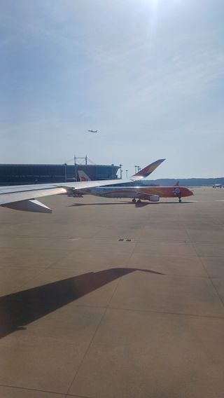 산골촌부님의 자유주제 · 자유게시판 작성글 사진