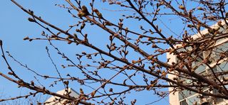 베리첼님의 자유주제 · 자유게시판 작성글 사진