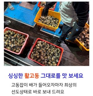 농수사님의 작성글 사진