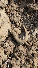 팜모닝 자유주제·자유게시판 게시글 이미지