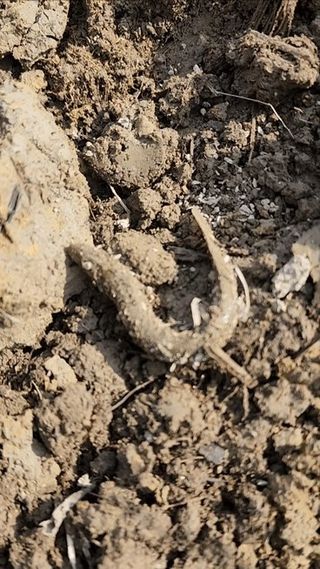 박종권님의 자유주제 · 자유게시판 작성글 사진