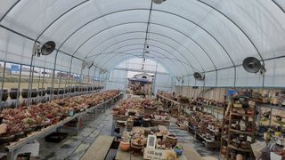 이연옥님의 자유주제 · 사진전 작성글 사진