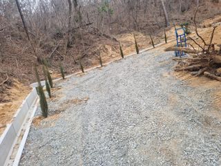 맨발인님의 묘목 추천해요 · 참여글 작성글 사진