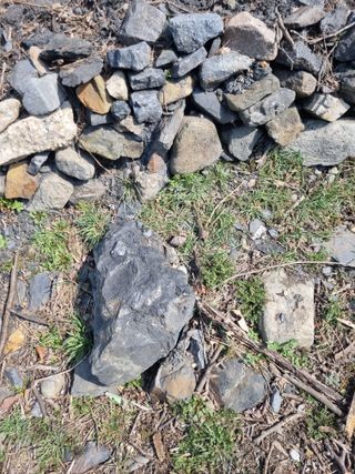 김용대님의 자유주제 · 자유게시판 작성글 사진