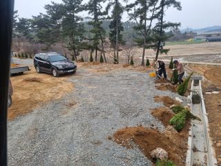 맨발인님의 묘목 추천해요 · 참여글 작성글 사진