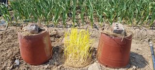 박순덕님의 자유주제 · 자유게시판 작성글 사진