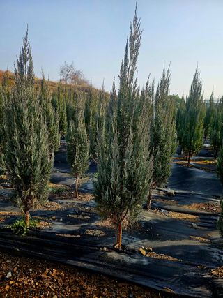 블루썬더농원님의 자유주제 · 사진전 작성글 사진