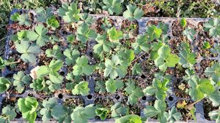 이정운님의 자유주제 · 자유게시판 작성글 사진