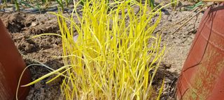 박순덕님의 자유주제 · 자유게시판 작성글 사진