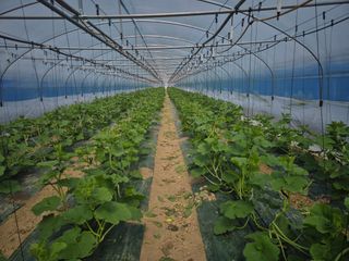 이일균님의 자유주제 · 자유게시판 작성글 사진