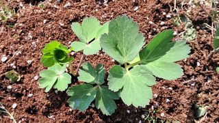 이정운님의 자유주제 · 자유게시판 작성글 사진