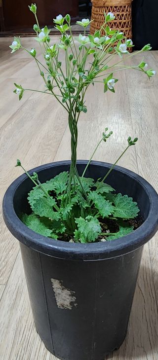 김선례님의 자유주제 · 사진전 작성글 사진