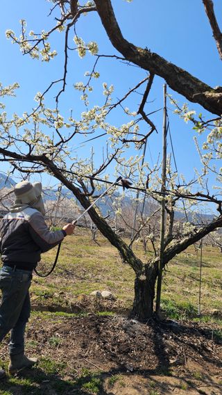 배성은365님의 자유주제 · 칭찬해요 작성글 사진