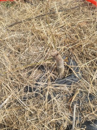 리얼팜님의 자유주제 · 자유게시판 작성글 사진