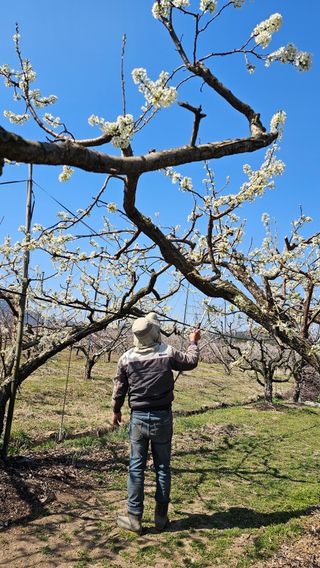 배성은365님의 자유주제 · 칭찬해요 작성글 사진